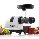 A Guide on How Juicers Work